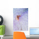 Pink Anemonefish Bleached Magnificent Wall Decal