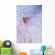 Pink Anemonefish Bleached Magnificent Wall Decal
