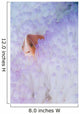 Pink Anemonefish Bleached Magnificent Wall Decal