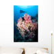 Soft Corals Tropical Reef Wall Decal Design 2