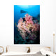Soft Corals Tropical Reef Wall Decal Design 2