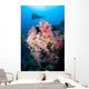 Soft Corals Tropical Reef Wall Decal Design 2