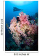 Soft Corals Tropical Reef Wall Decal Design 2