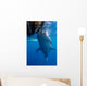Whale Shark Feeding under Wall Decal Design 6