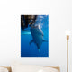 Whale Shark Feeding under Wall Decal Design 6