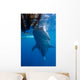 Whale Shark Feeding under Wall Decal Design 6