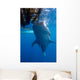 Whale Shark Feeding under Wall Decal Design 6