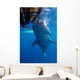 Whale Shark Feeding under Wall Decal Design 6