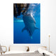 Whale Shark Feeding under Wall Decal Design 6