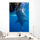 Whale Shark Feeding under Wall Decal Design 6
