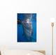 Whale Shark Feeding under Wall Decal Design 5