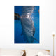 Whale Shark Feeding under Wall Decal Design 5
