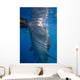 Whale Shark Feeding under Wall Decal Design 5