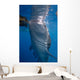 Whale Shark Feeding under Wall Decal Design 5