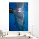 Whale Shark Feeding under Wall Decal Design 5