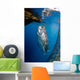 Whale Shark Feeding under Wall Decal Design 4