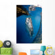 Whale Shark Feeding under Wall Decal Design 4