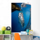 Whale Shark Feeding under Wall Decal Design 4