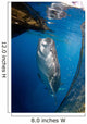 Whale Shark Feeding under Wall Decal Design 4