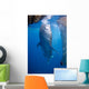 Whale Shark Feeding under Wall Decal Design 3