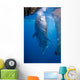 Whale Shark Feeding under Wall Decal Design 3