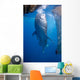 Whale Shark Feeding under Wall Decal Design 3