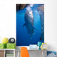 Whale Shark Feeding under Wall Decal Design 3