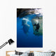 Diver Films Whale Sharks Wall Decal Design 3