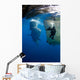 Diver Films Whale Sharks Wall Decal Design 3