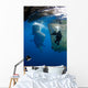 Diver Films Whale Sharks Wall Decal Design 3