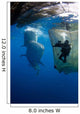 Diver Films Whale Sharks Wall Decal Design 3