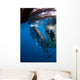 Diver Films Whale Sharks Wall Decal Design 2