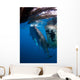 Diver Films Whale Sharks Wall Decal Design 2