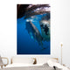Diver Films Whale Sharks Wall Decal Design 2
