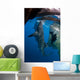 Diver Films Whale Sharks Wall Decal Design 1