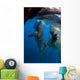 Diver Films Whale Sharks Wall Decal Design 1