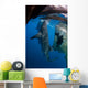 Diver Films Whale Sharks Wall Decal Design 1