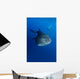 Diver Films Whale Shark Wall Decal