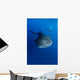 Diver Films Whale Shark Wall Decal