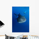 Diver Films Whale Shark Wall Decal