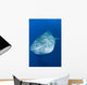 Whale Shark Cenderawasih Bay Wall Decal Design 2
