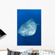 Whale Shark Cenderawasih Bay Wall Decal Design 2