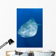 Whale Shark Cenderawasih Bay Wall Decal Design 2