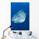 Whale Shark Cenderawasih Bay Wall Decal Design 2