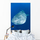 Whale Shark Cenderawasih Bay Wall Decal Design 2