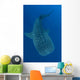 Whale Shark Feeding under Wall Decal Design 1