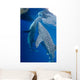 Pair Whale Sharks Feeding Wall Decal