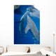 Pair Whale Sharks Feeding Wall Decal