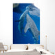 Pair Whale Sharks Feeding Wall Decal
