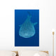 Whale Shark Cenderawasih Bay Wall Decal Design 1